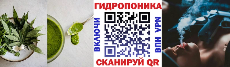 Canna-Cookies конопля Харовск