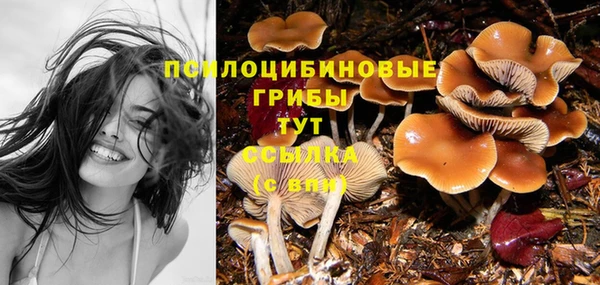 гидропоника Верхний Тагил